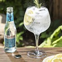 fever-tree-mediterranean