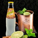 schweppes-ginger-beer
