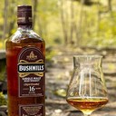 bushmills-16